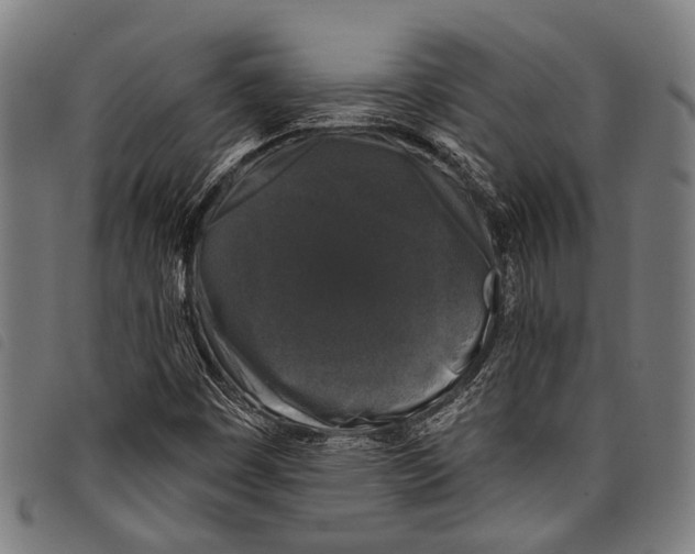 X0000097791449200804041225