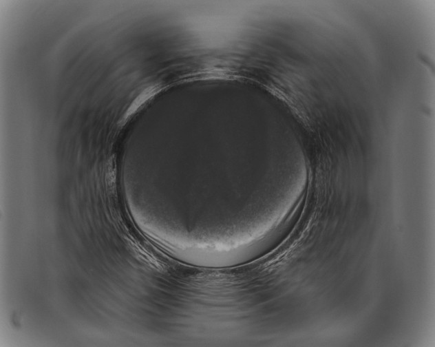 X0000097791450200804041225
