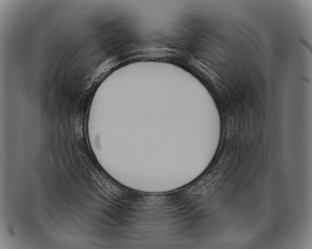 X0000097791451200804041225