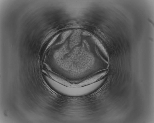 X0000097791452200804041225