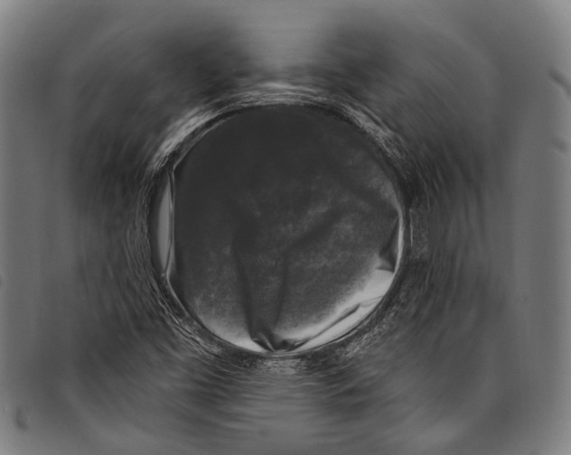 X0000097791453200804041225