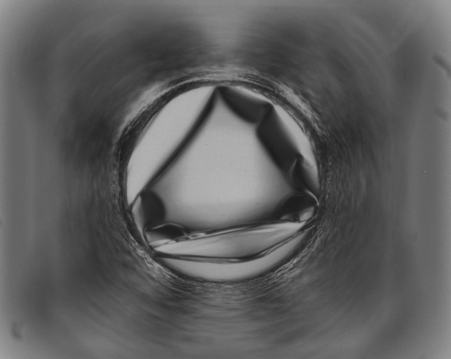 X0000097791456200804041225