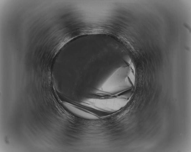 X0000097791457200804041225