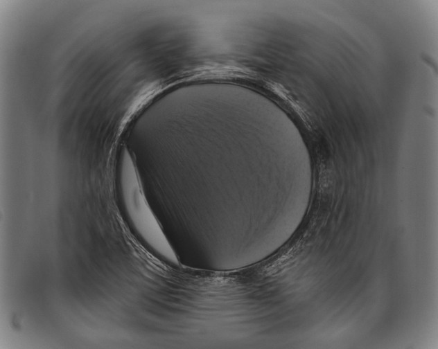X0000097791459200804041225