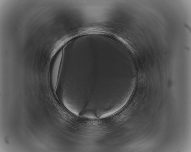 X0000097791461200804041225