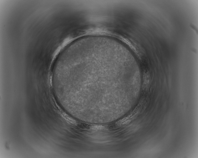 X0000097791462200804041225