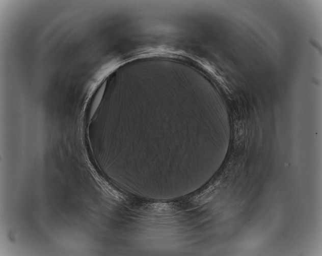 X0000097791463200804041225