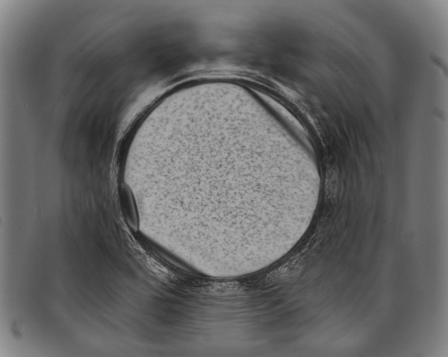 X0000097791464200804041225