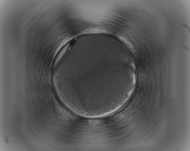 X0000097791465200804041225