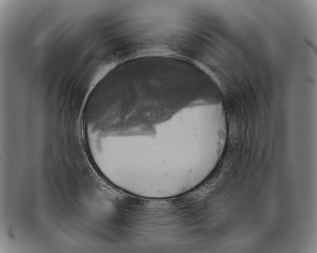 X0000097791466200804041225