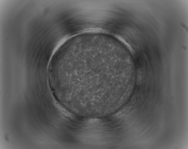X0000097791467200804041225