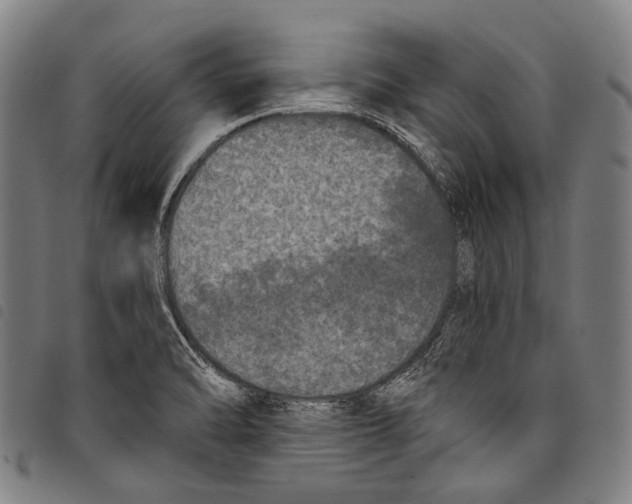 X0000097791470200804041225