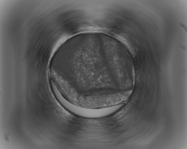 X0000097791472200804041225