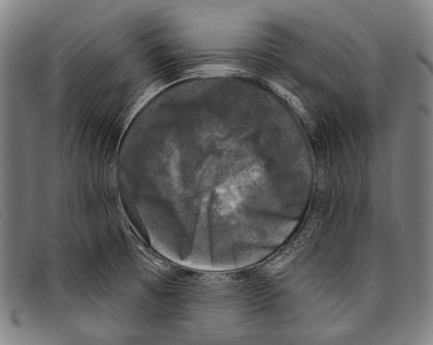 X0000097791473200804041225