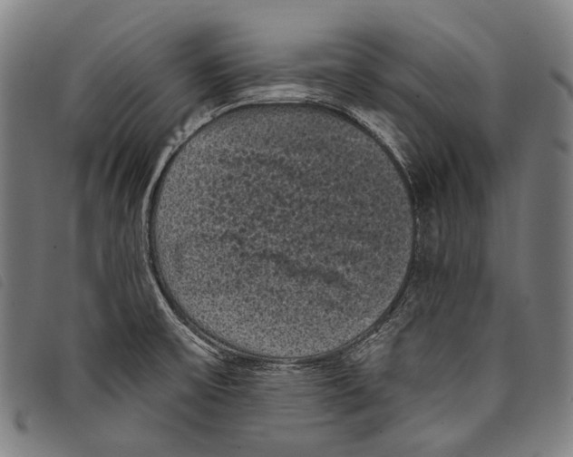 X0000097791475200804041225