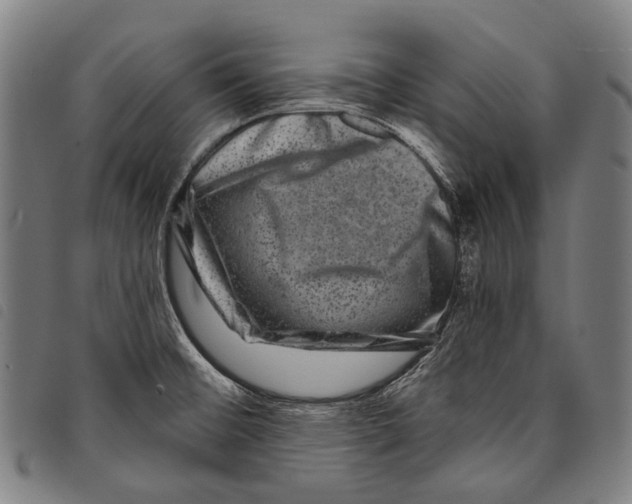 X0000097791476200804041225