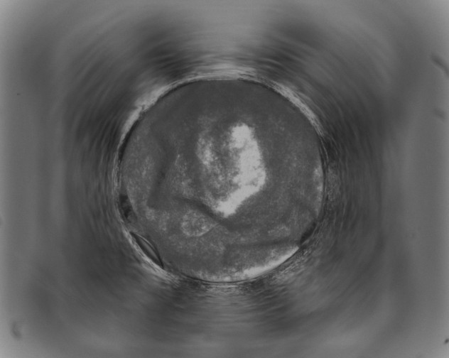 X0000097791477200804041225