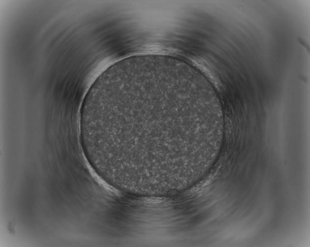 X0000097791479200804041225