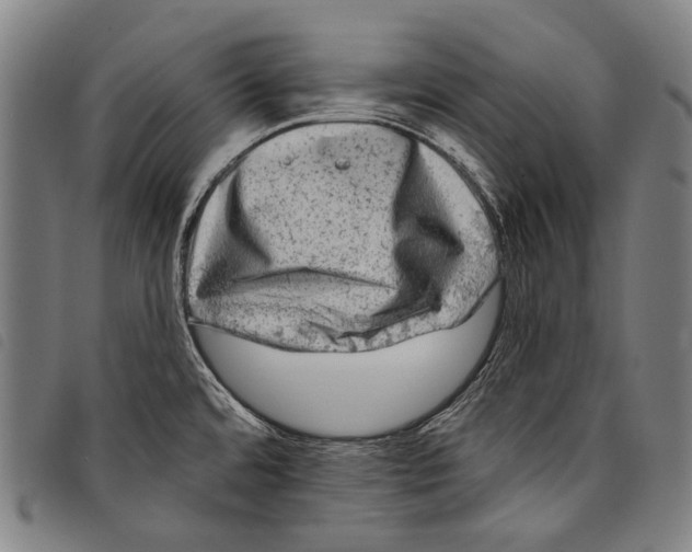 X0000097791480200804041225