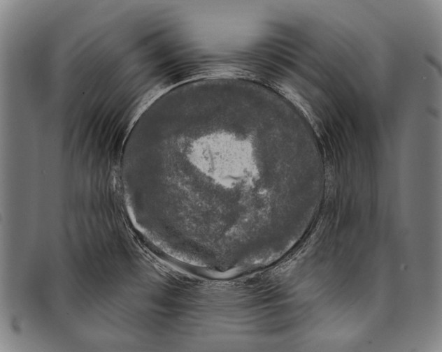 X0000097791481200804041225