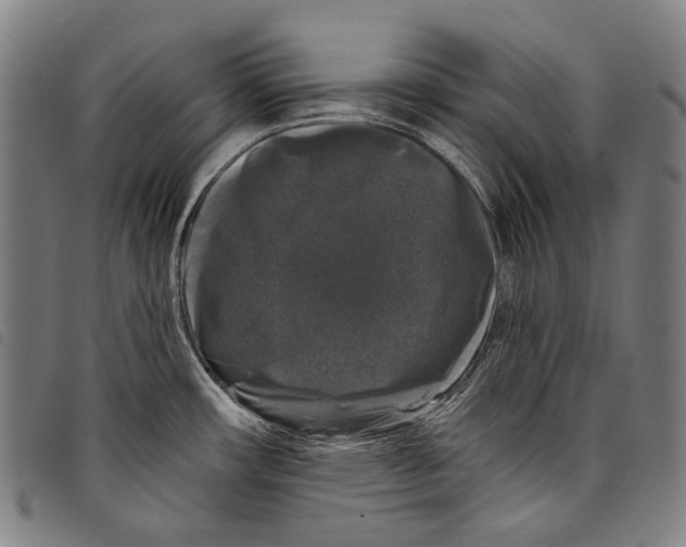 X0000097791482200804041225