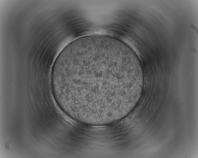 X0000097791483200804041225