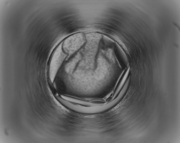X0000097791484200804041225
