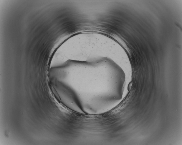X0000097791485200804041225