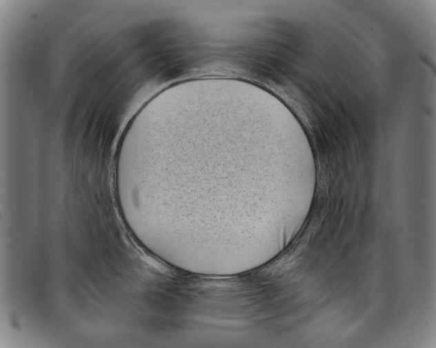 X0000097791486200804041225