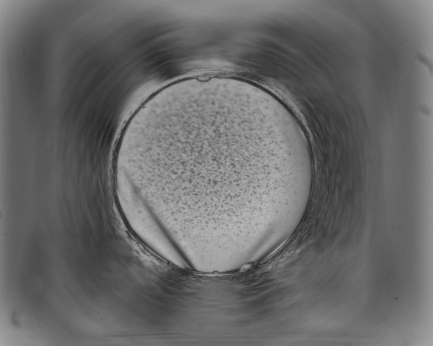 X0000097791488200804041225