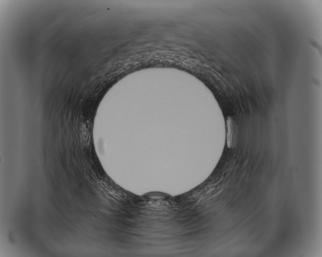 X0000097791491200804041224