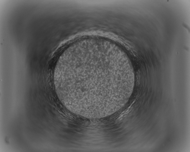 X0000097791494200804041224
