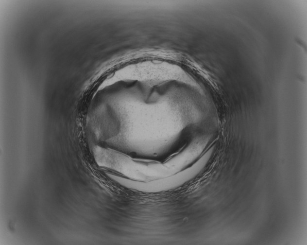 X0000097791496200804041224