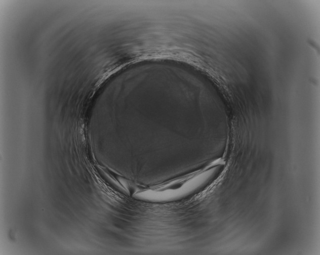 X0000097791497200804041224