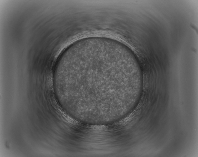 X0000097791498200804041224