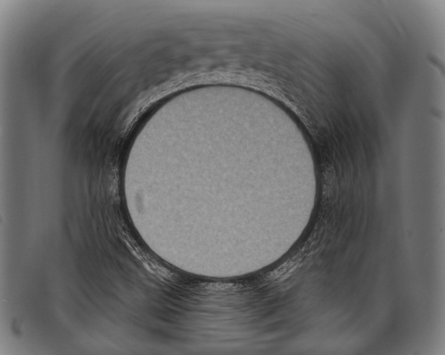 X0000097791499200804041224