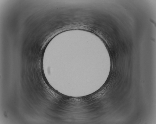 X0000097791500200804041224