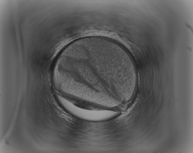X0000097791501200804041224