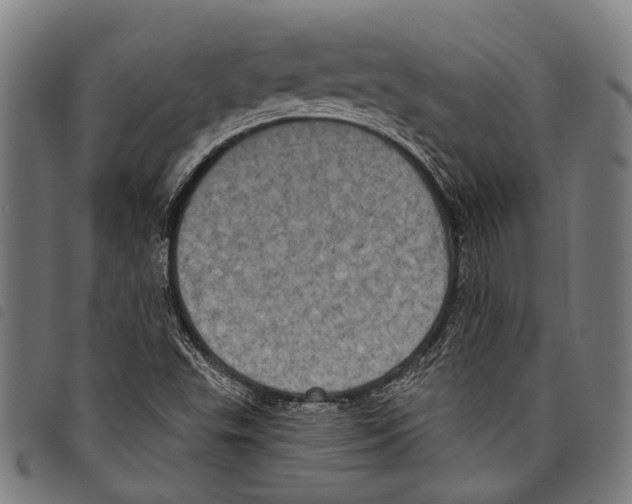 X0000097791503200804041224