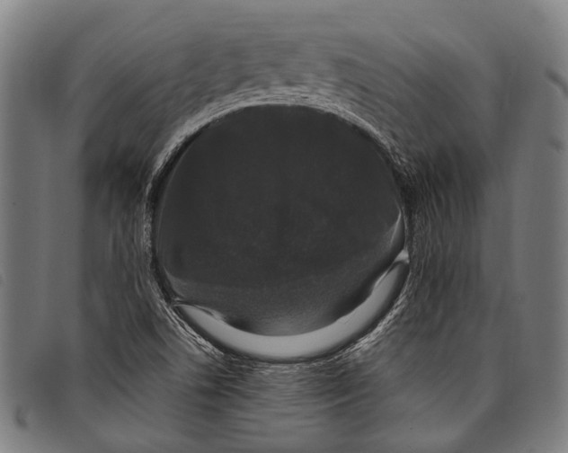 X0000097791506200804041224