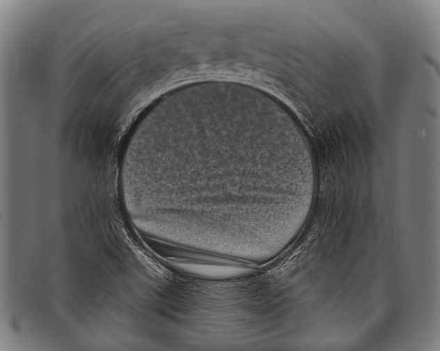 X0000097791507200804041224