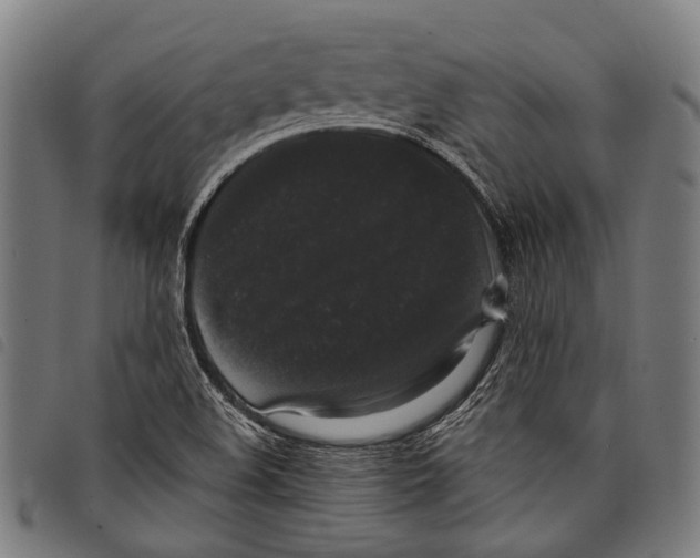 X0000097791508200804041224