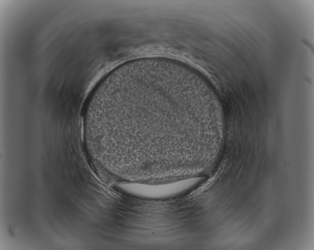 X0000097791509200804041224
