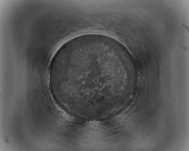 X0000097791511200804041224