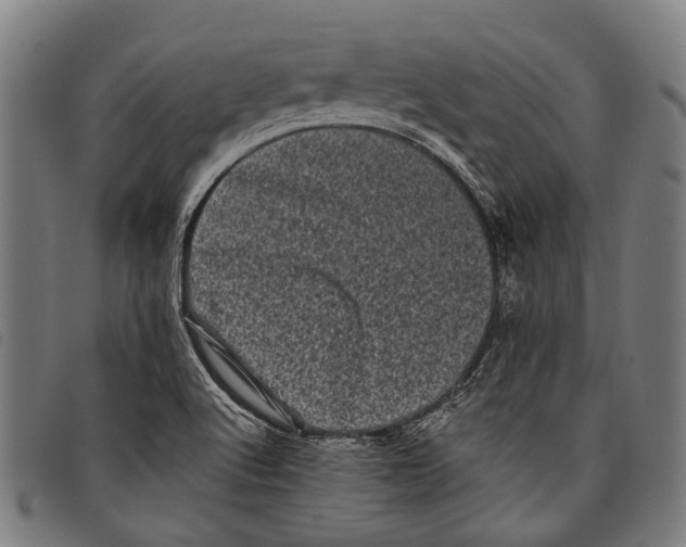X0000097791512200804041224