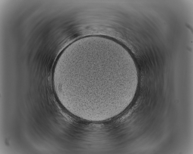X0000097791513200804041224