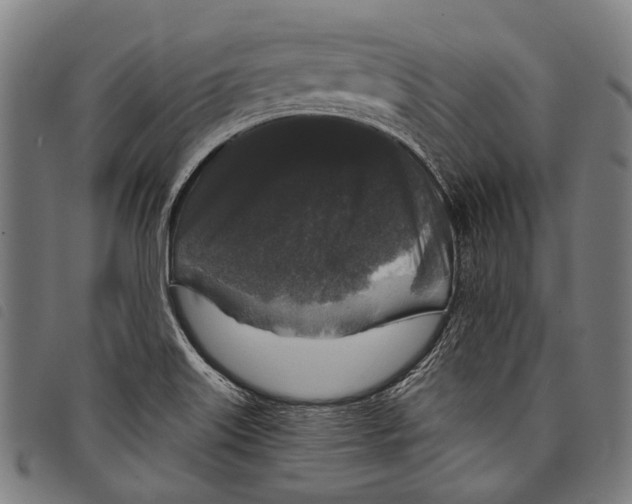 X0000097791515200804041224