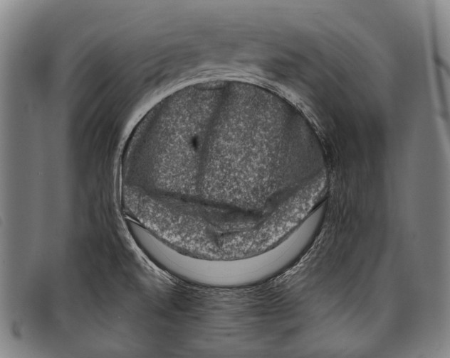 X0000097791520200804041224