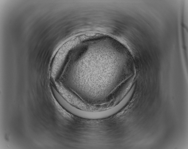 X0000097791524200804041224