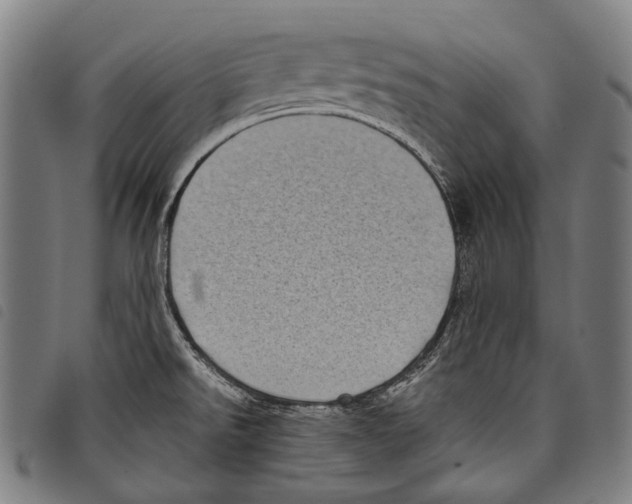 X0000097791526200804041224
